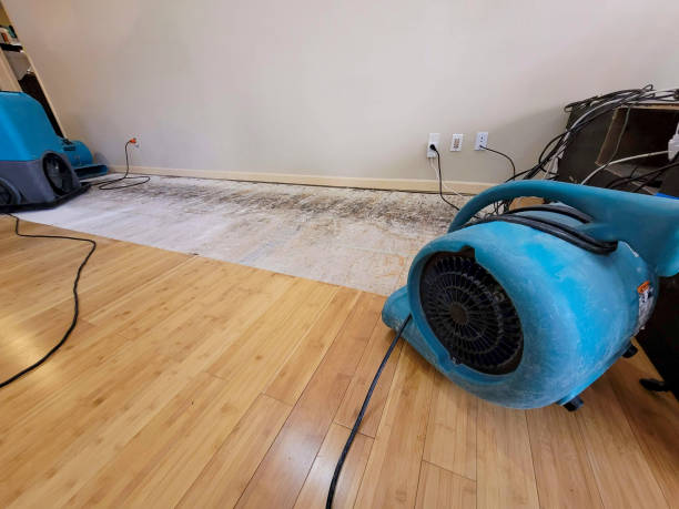 Professional Structural Drying technician working in Solon, IA